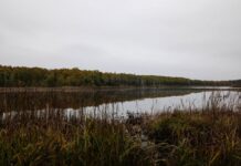 Support for Dating the Golden Gate to Theodosius the Great