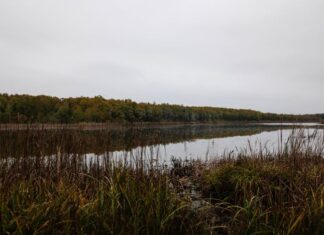 Support for Dating the Golden Gate to Theodosius the Great