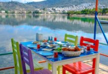 The Kidnapping of Mme