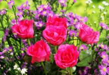 Travel in Greece Comforts and Challenges