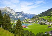 Before the Judge A Matter of Travel and Duty